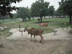 -西安秦岭野生动物园