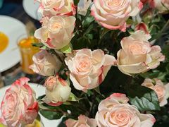 -第101座花园餐厅(湖滨88店)