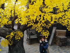 -中国汉城景区