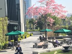 -星巴克(深圳前海企业公馆店)