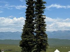 -新疆那拉提国家旅游度假区