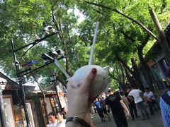 -椰子下蛋(南锣鼓巷店)