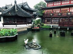 景观位-绿波廊(豫园店)