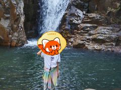 -海南霸王岭国家森林公园