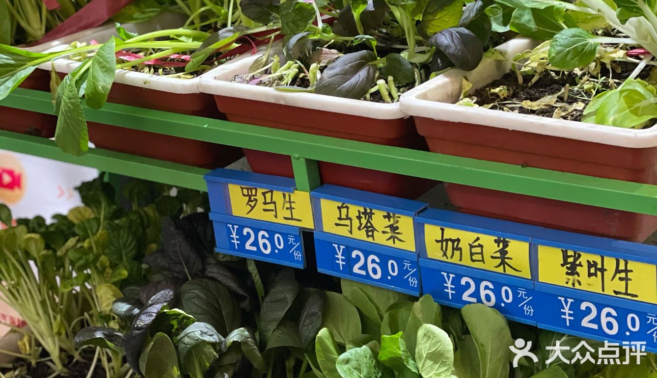 海鲜香不怕巷子深🦪🍤🐟🐚