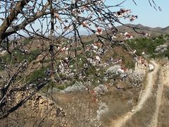 -蟠龙山长城景区