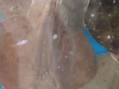 -宾朋海鲜特色美食餐厅·纯手工鲅鱼水饺(兴海路店)