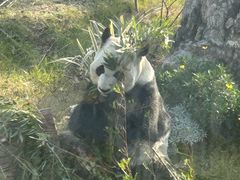 -无锡动物园·太湖欢乐园