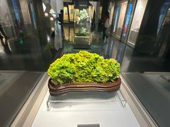 -安徽省地质博物馆