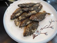 香煎软骨鲫-新榕记滨江壹號