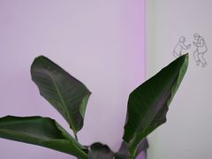 -花沐 FLOWER BATH(凤凰城店)