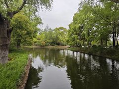 -紫薇公园