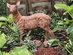 -上海佘山国家森林公园天马山园