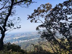 -紫金山山顶公园