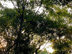 -木守西溪溪隐餐厅