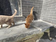 -终南山南五台景区