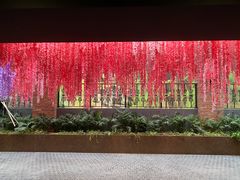 -南宫五洲植物乐园