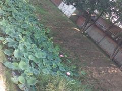 -瀛海足球主题公园