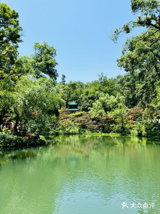 岳麓山风景名胜区图片