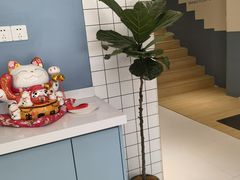 -柏萃动物医院·骨科·牙科
