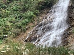 -陕西省红河谷森林公园