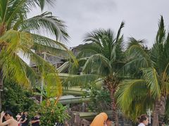 -亚马逊丛林水乐园