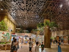 -杭州开元森泊度假乐园