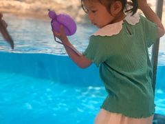 -帝企鹅自助餐厅•儿童岛•真企鹅(长隆企鹅酒店)