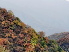 -沣峪口