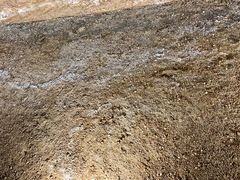-天津古林古海岸遗迹博物馆