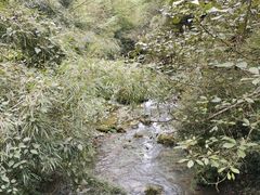 -神龙峡风景区