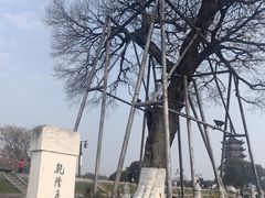 -观潮胜地公园