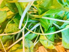 有机蔬菜-大匠工房古船木艺术餐厅·猪肚鸡专门店(长白仙岛店)