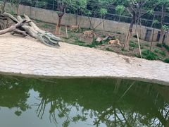 -常州淹城野生动物世界