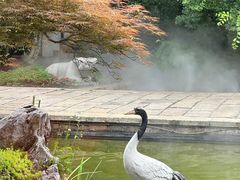 -广富林宰相府酒店·水云间