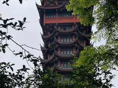 -塔子山公园
