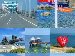 -昌顺园·养马岛渔家海鲜餐厅·老鲁菜(龙湖店)