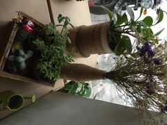 台湾光芒手作重起司蛋糕(郑州店)-台灣光芒手作(万安街店)
