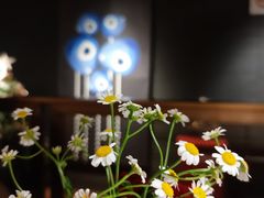 -Pasha帕夏土耳其餐厅(南昌路店)