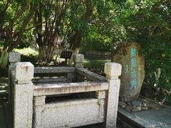 -八大山人梅湖景区