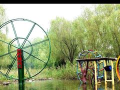 -微山湖红荷湿地景区