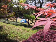 -白马涧龙池景区
