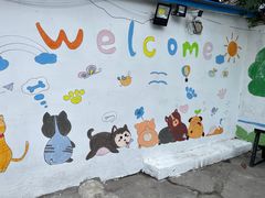 -翊宠yipet猫狗购宠庄园犬舍•猫舍