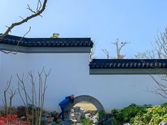 -上海滨江森林公园