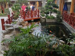 -顺德了能馆(虎门店)