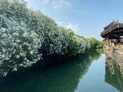-乌村