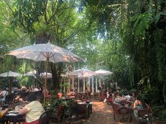 -Fern Forest Cafe