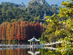 -星湖旅游景区七星岩