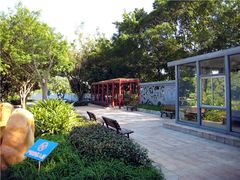 -银湖山郊野公园-相思林