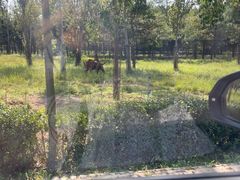 -秦皇岛野生动物园